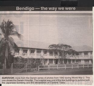 Newspaper - JENNY FOLEY COLLECTION: SURVIVOR