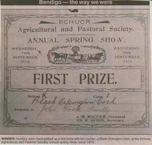Newspaper - JENNY FOLEY COLLECTION: WINNER