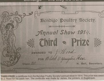 Newspaper - JENNY FOLEY COLLECTION: THIRD PRIZE