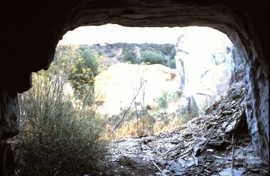 Slide - HORWOOD COLLECTION: COMET HILL, c1966