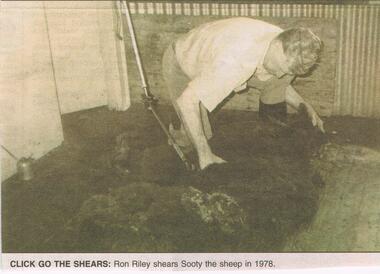 Newspaper - JENNY FOLEY COLLECTION: CLICK GO THE SHEARS