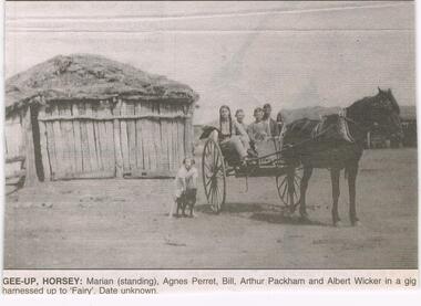 Newspaper - JENNY FOLEY COLLECTION: GEE-UP