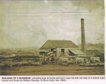Newspaper - JENNY FOLEY COLLECTION: BUILDING OF A BUSINESS