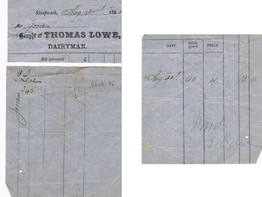 Document - G.ALICE JONES COLLECTION: INVOICE FROM THOMAS LOWE, DAIRYMAN, 31/08/1882