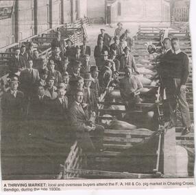 Newspaper - JENNY FOLEY COLLECTION: A THRIVING MARKET