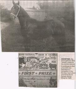 Newspaper - JENNY FOLEY COLLECTION: SHOWTIME