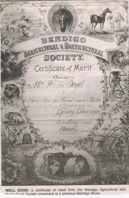 Newspaper - JENNY FOLEY COLLECTION: WELL DONE