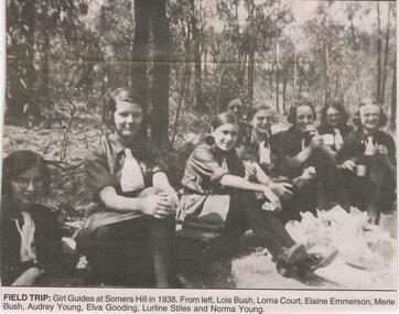 Newspaper - JENNY FOLEY COLLECTION: FIELD TRIP