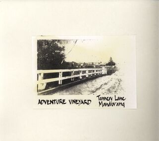 Photograph - STRAUCH COLLECTION: ADVENTURE VINEYARD