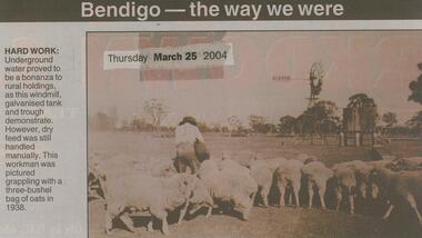 Newspaper - JENNY FOLEY COLLECTION: HARD WORK