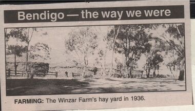 Newspaper - JENNY FOLEY COLLECTION: FARMING