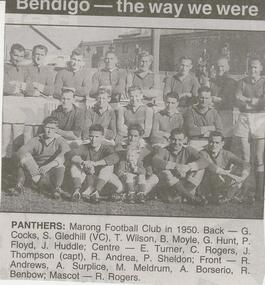 Newspaper - JENNY FOLEY COLLECTION: PANTHERS