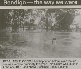 Newspaper - JENNY FOLEY COLLECTION: FEBRUARY FLOODS