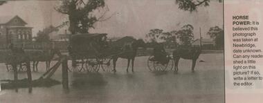 Newspaper - JENNY FOLEY COLLECTION: HORSE POWER