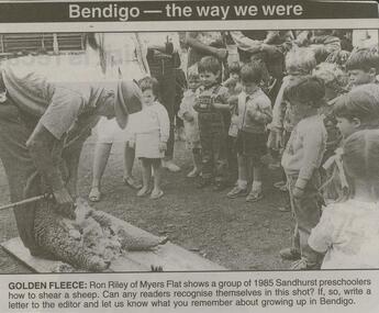 Newspaper - JENNY FOLEY COLLECTION: GOLDEN FLEECE