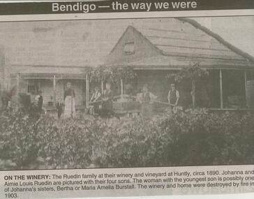 Newspaper - JENNY FOLEY COLLECTION: ON THE WINERY