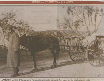 Newspaper - JENNY FOLEY COLLECTION: ARRIVALS