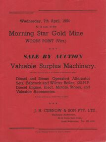 Document - IAN DYETT COLLECTION: AUCTION - MORNING STAR GOLD MINE WOODS POINT