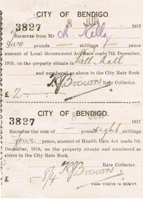 Document - CITY OF BENDIGO RATE RECEIPT, 08/06/1917