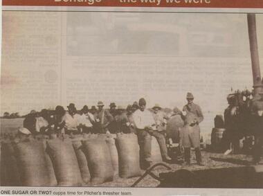 Newspaper - JENNY FOLEY COLLECTION: ONE SUGAR OR TWO?