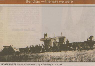 Newspaper - JENNY FOLEY COLLECTION: HORSEPOWER