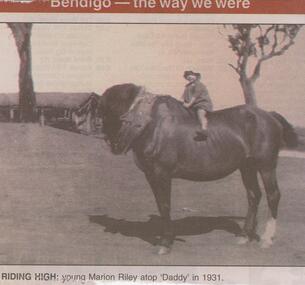 Newspaper - JENNY FOLEY COLLECTION: RIDING HIGH