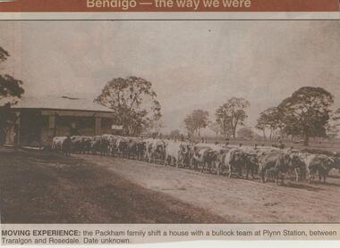 Newspaper - JENNY FOLEY COLLECTION: MOVING EXPERIENCE