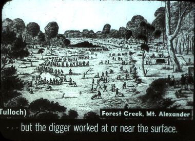 Slide - DIGGERS AND MINERS. DIGGERS AND MINERS, 1850s