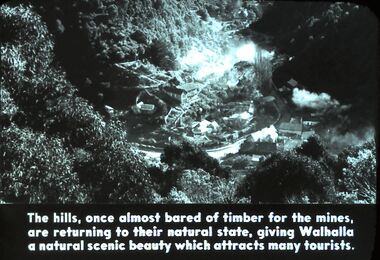 Slide - DIGGERS & MINING. DIGGERS AND MINERS, c1850