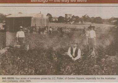Newspaper - JENNY FOLEY COLLECTION: BIG REDS