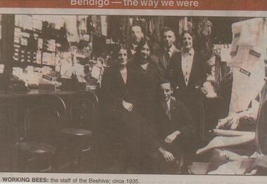Newspaper - JENNY FOLEY COLLECTION: WORKING BEES