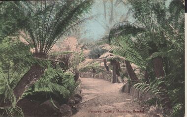 Postcard - ELAINE ROBB COLLECTION:  BENDIGO FERNERY