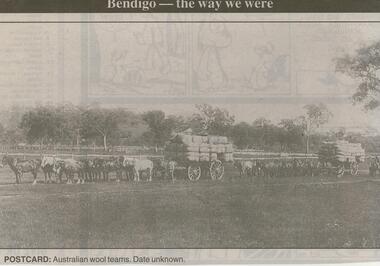 Newspaper - JENNY FOLEY COLLECTION: POSTCARD