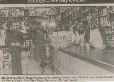 Newspaper - JENNY FOLEY COLLECTION: BOUNTIFUL