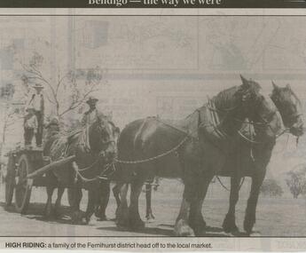 Newspaper - JENNY FOLEY COLLECTION: HIGH RIDING