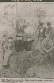 Newspaper - JENNY FOLEY COLLECTION: TREE FELLING