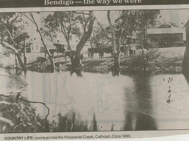Newspaper - JENNY FOLEY COLLECTION: COUNTRY LIFE