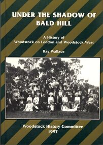 Book - STRAUCH COLLECTION - UNDER THE SHADOW OF BALD HILL