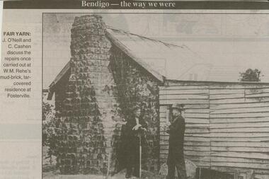 Newspaper - JENNY FOLEY COLLECTION: FARM YARN