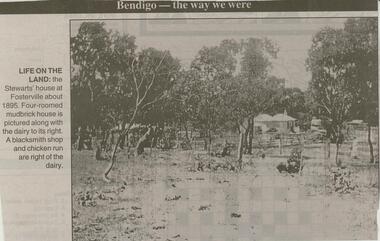 Newspaper - JENNY FOLEY COLLECTION: LIFE ON THE LAND