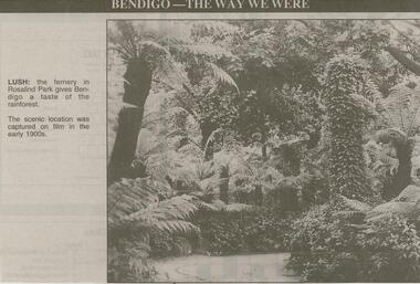 Newspaper - JENNY FOLEY COLLECTION: LUSH
