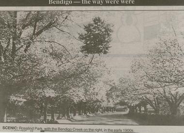Newspaper - JENNY FOLEY COLLECTION: SCENIC