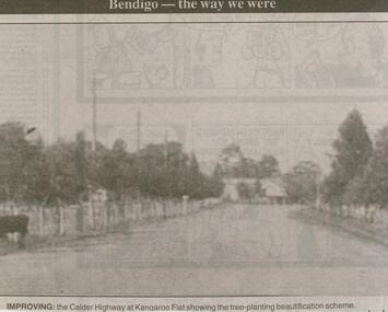Newspaper - JENNY FOLEY COLLECTION: IMPROVING