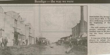 Newspaper - JENNY FOLEY COLLECTION: INDUSTRY
