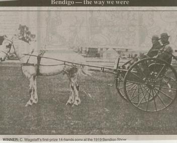 Newspaper - JENNY FOLEY COLLECTION: WINNER