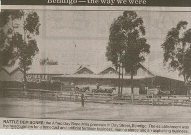 Newspaper - JENNY FOLEY COLLECTION: RATTLE DEM BONES