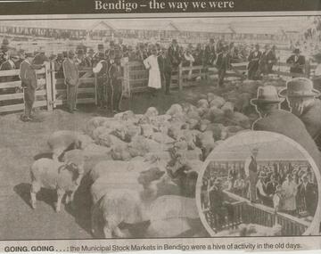 Newspaper - JENNY FOLEY COLLECTION: MUNICIPAL STOCK MARKET