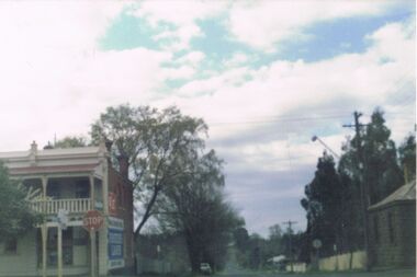 Photograph - CASTLEMAINE GAS COMPANY COLLECTION: PHOTO TREE LINED STREET