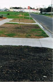 Photograph - CASTLEMAINE GAS COMPANY COLLECTION: PHOTO NATURE STRIP