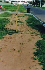 Photograph - CASTLEMAINE GAS COMPANY COLLECTION: PHOTO NATURE STRIP